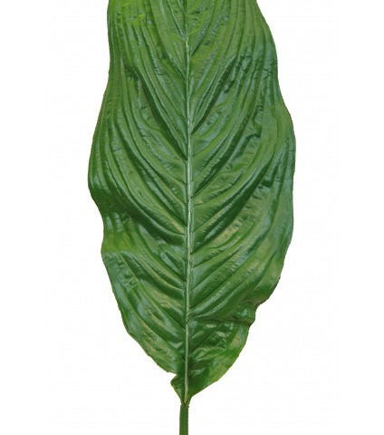 Feuille de spathiphyllum artificielle