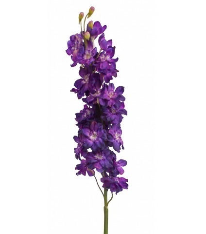 Delphinium artificiel