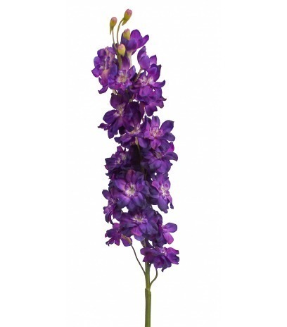 Delphinium artificiel