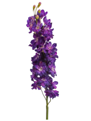 Delphinium artificiel