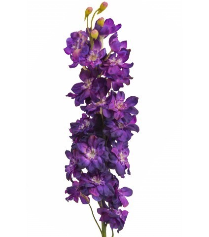 Delphinium artificiel