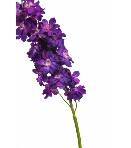 Delphinium artificiel