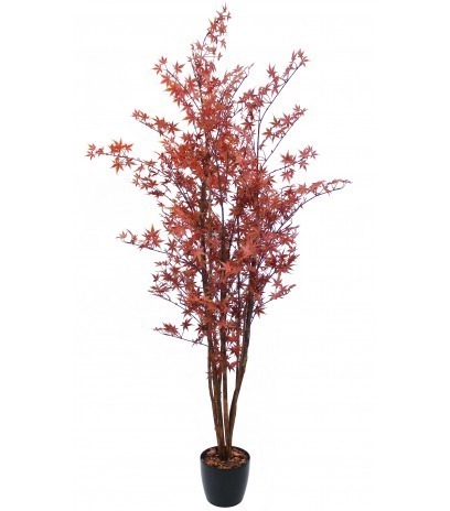 Erable du Japon artificiel