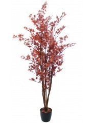 Erable du Japon artificiel