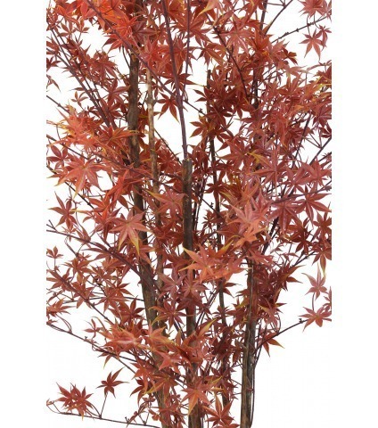 Erable du Japon artificiel
