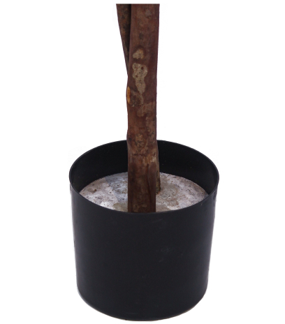 Pot