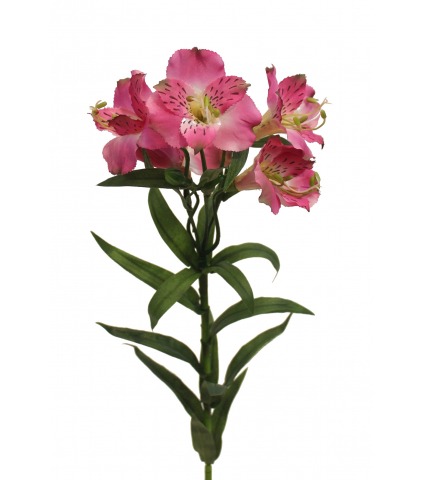 Alstroemère artificielle