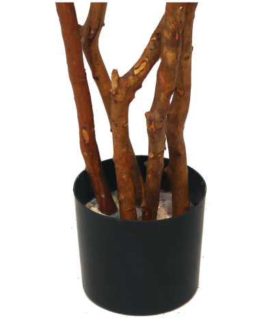 Pot