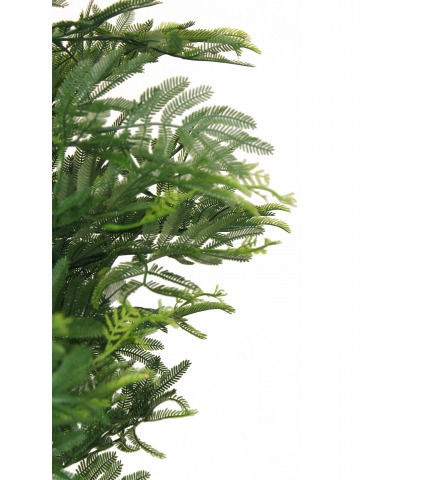 Tamarinier artificiel