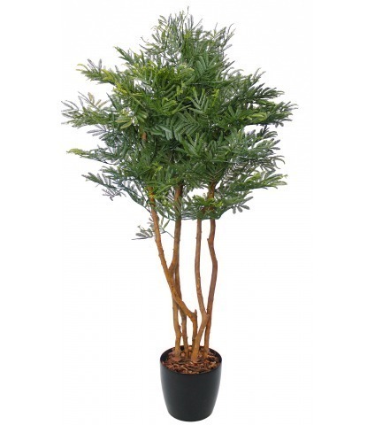 Tamarinier artificiel