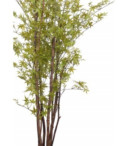 Érable artificiel vert