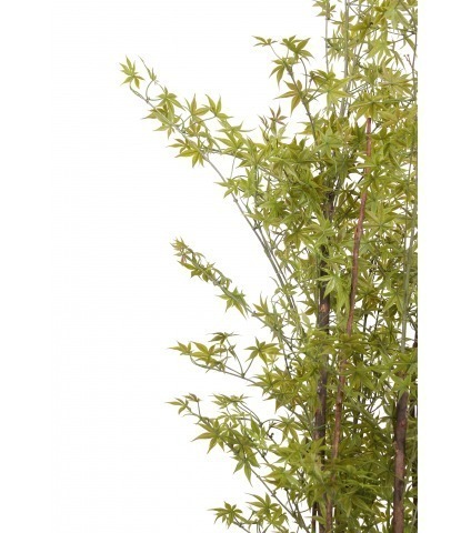 Érable artificiel vert