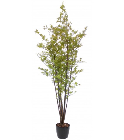 Érable artificiel vert