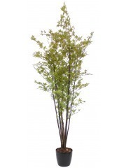 Érable artificiel vert