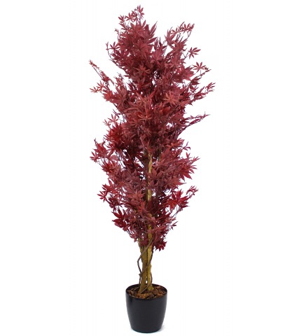 Erable pourpe artificiel