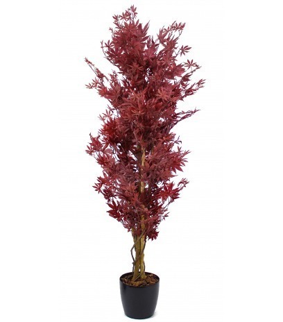 Erable pourpe artificiel
