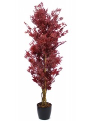 Erable pourpe artificiel
