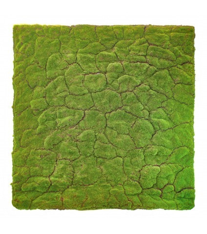 Grande plaque de mousse épaisse