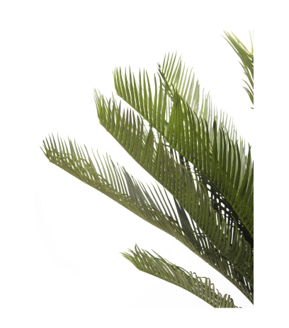 Cycas artificiel sur tronc