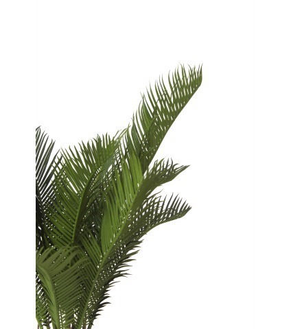 Petit cycas artificiel