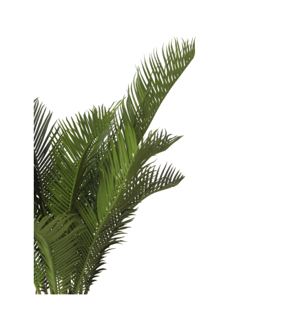 Petit cycas artificiel