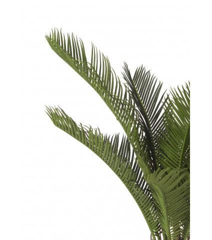 Petit cycas artificiel