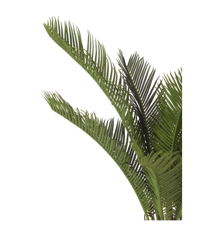 Petit cycas artificiel