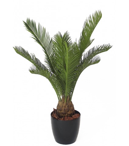 Petit cycas artificiel
