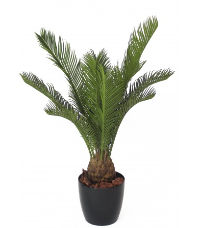 Petit cycas artificiel