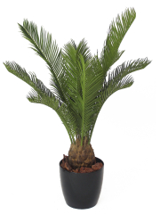 Petit cycas artificiel