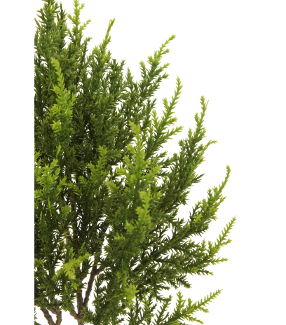 Branche de juniperus artificielle