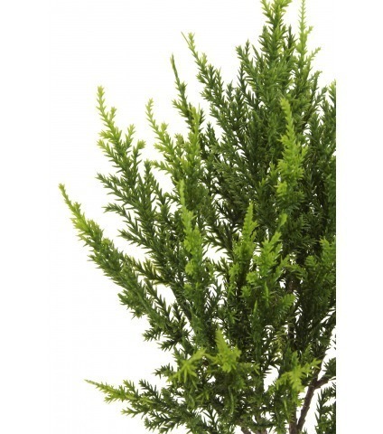 Branche de juniperus artificielle