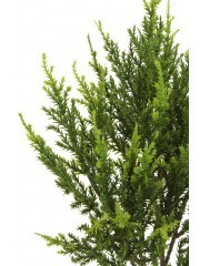 Branche de juniperus artificielle