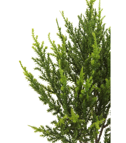 Branche de juniperus artificielle