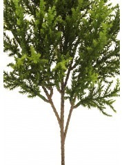 Branche de juniperus artificielle