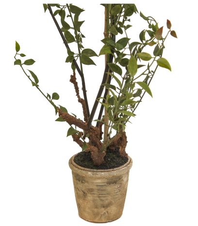 Pot déco