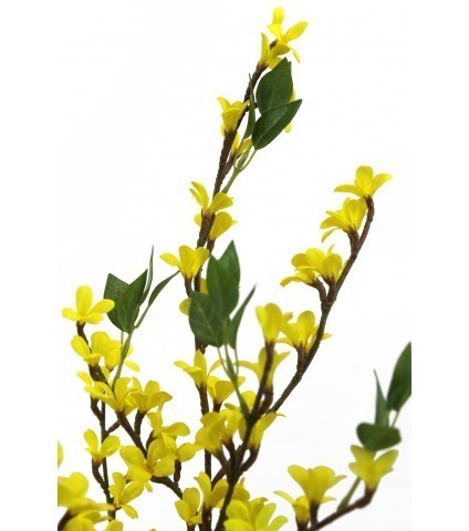 Forsythia artificiel