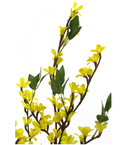 Forsythia artificiel