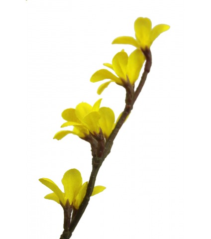 Forsythia artificiel