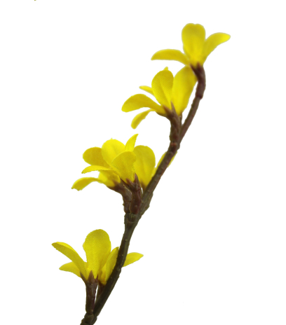 Forsythia artificiel