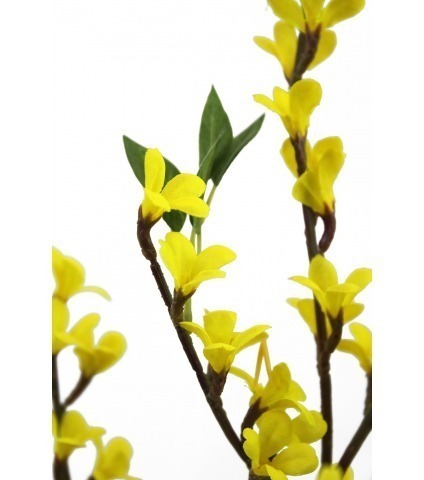 Forsythia artificiel
