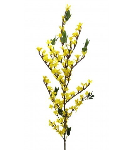 Forsythia artificiel