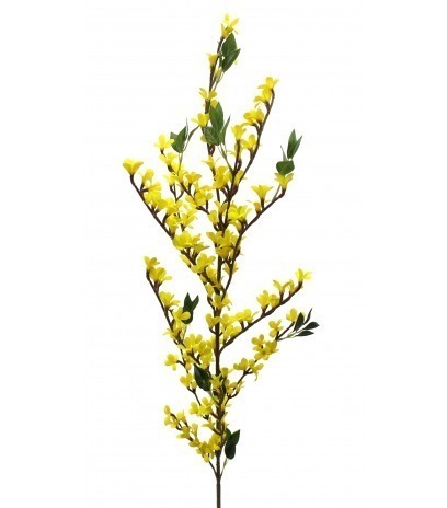 Forsythia artificiel