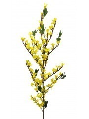 Forsythia artificiel