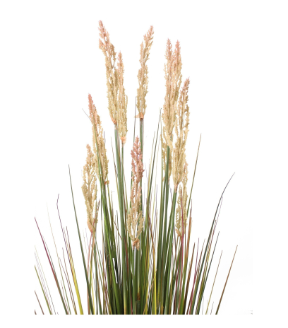 Stipa artificiel