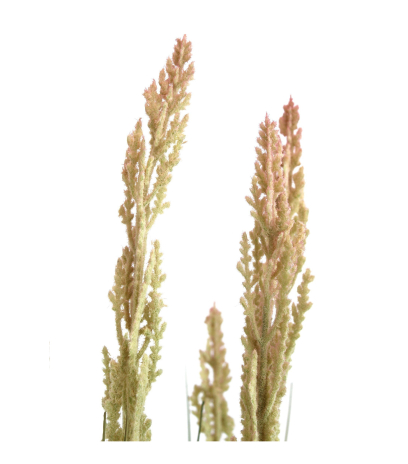 Stipa artificiel
