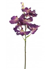 Vanda artificielle violette