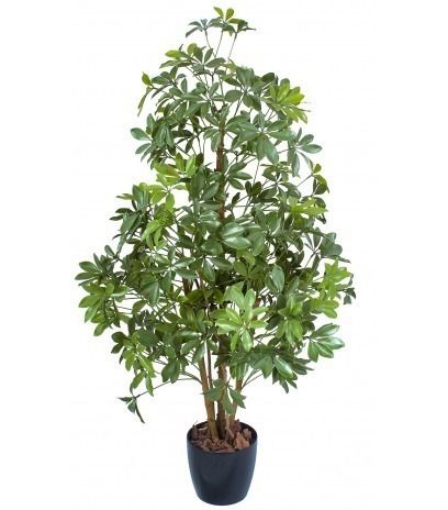 Oranger du Mexique artificiel