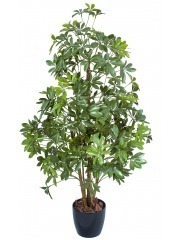 Oranger du Mexique artificiel