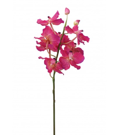 Vanda artificielle rose